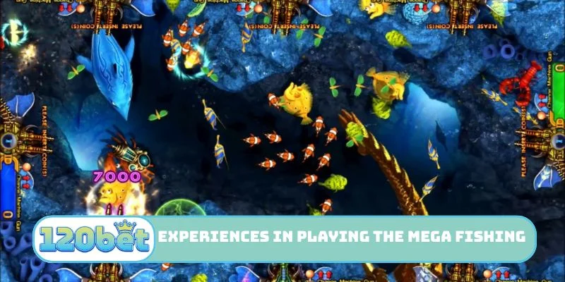 Experiences in playing the Mega Fishing