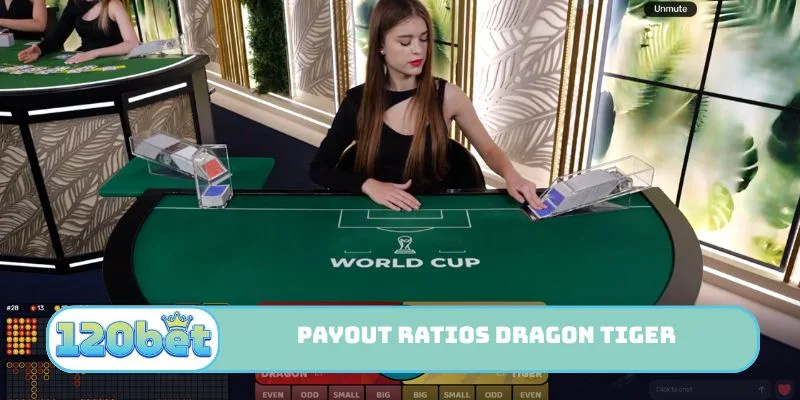 Payout ratios Dragon Tiger