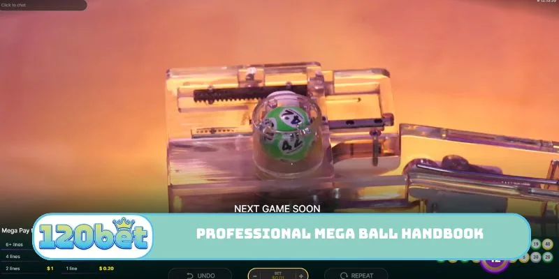 Professional Mega Ball handbook
