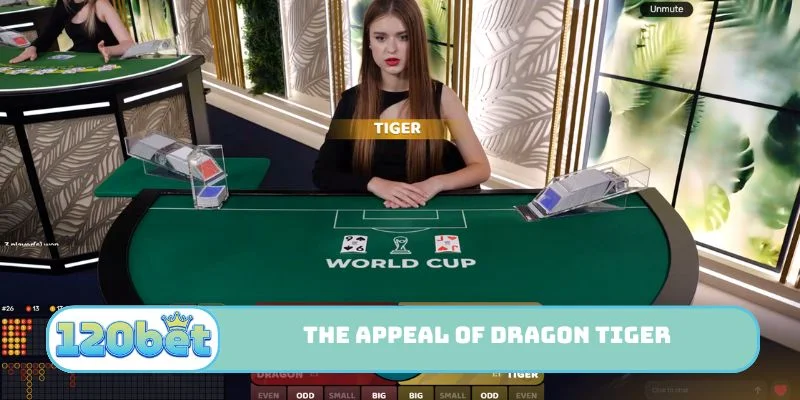 The appeal of Dragon Tiger