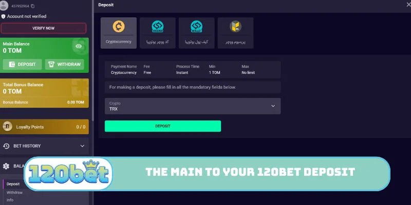 The main screen to start your 120bet Deposit today.