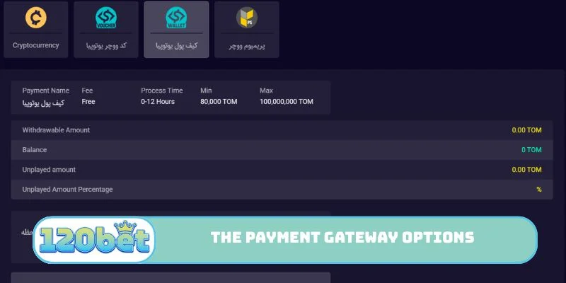Exploring the payment gateway options for payouts.